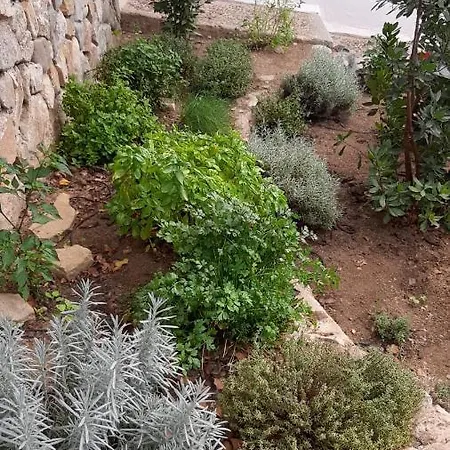 Apartamento Mirto Capitana